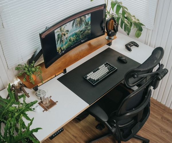 Minimalist desk setup with natural light and plants